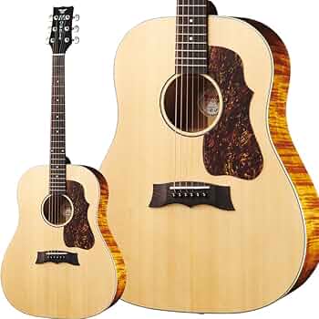Amazon.co.jp: MORRIS G-021E NAT エレクトリック